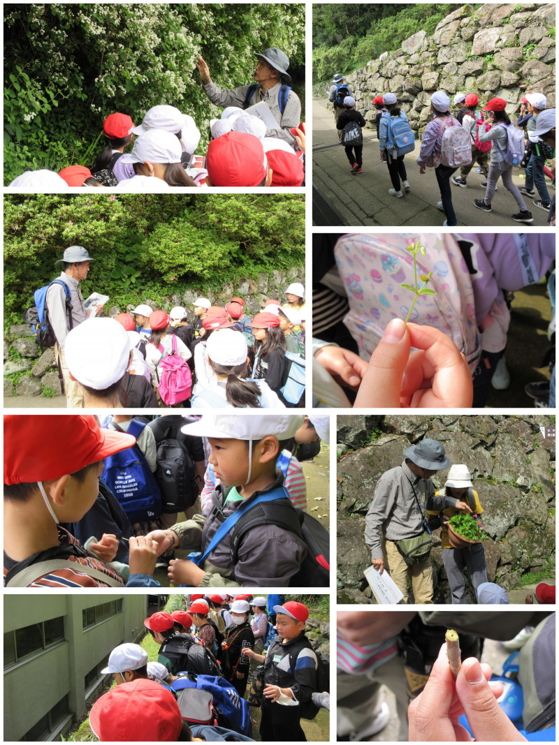 0502 3年城山1