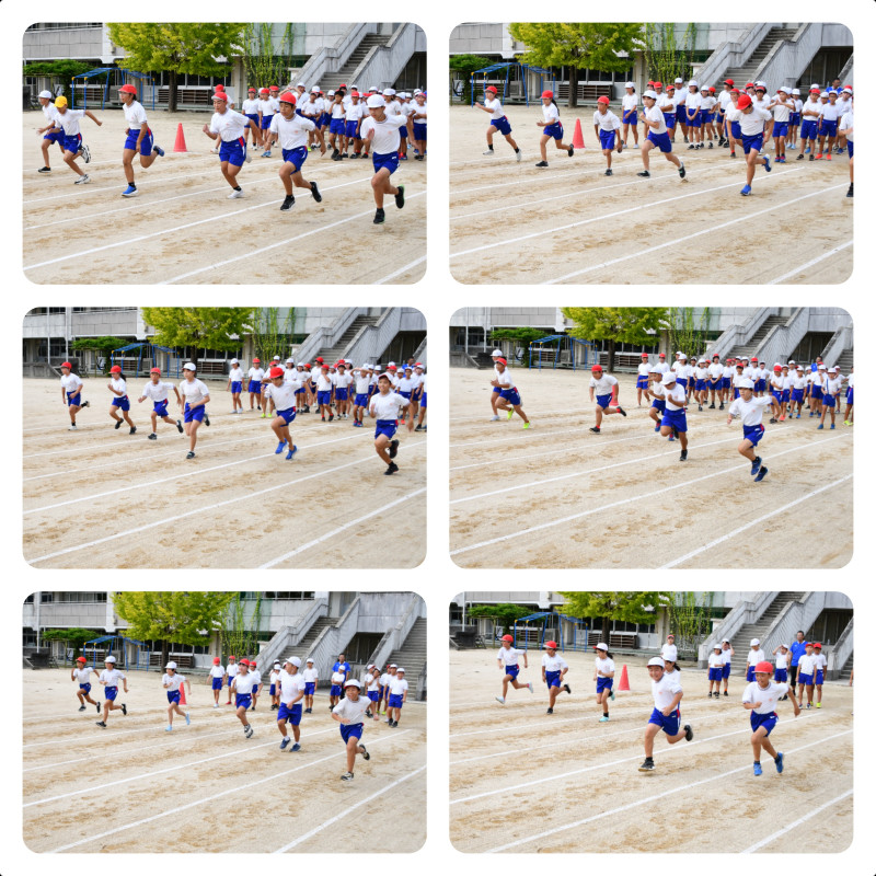 layout-collage-1788429370384