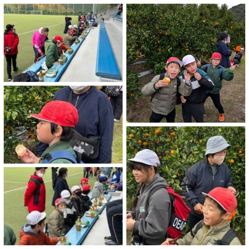 1118 よいこのみかんがり